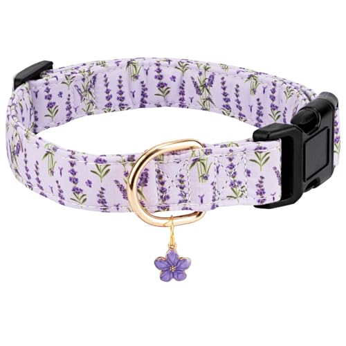 Personalized Dog Collars,Adjustable Puppy Collars with Safety Buckle for Small Medium Large Dogs,Cute and Unique Pink Cherry Pattern Pet Collar for Boy Girl Dogs. (Purple Lavender, S) - color: Purple Lavender, size: S