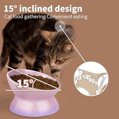 Cute Ceramic Tilted Food Bowls for Indoor Cats Cat Bowl Elevated Cat Bowls Whisker Friendly 6.1 Inch Wide 15° Raised Kitten Supplies Dishwasher and Microwave Safe Purple Cats Water Bowl - color: Purple Ceramic Elevated Cat Bowl