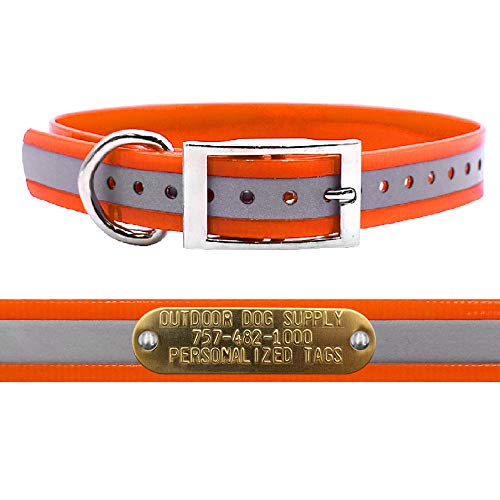 Outdoor Dog Supply 1" Heavy Duty Reflective Waterproof D-Ring Dog Collar for Medium & Large Dogs with 3/4" Custom Brass Nameplate (Reflective Orange, 18") - color: Reflective Orange, size: 18" Long