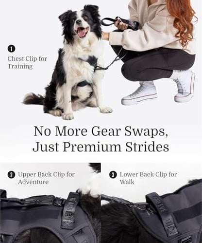 2026 New Edition, Fei & Eve MagEase Dog Harness - Instant Magnetic Buckle | 3-Point No-Pull Control | Heavy-Duty 900D Nylon | Dual Safety Handles | Breathable Mesh | Adjustable Fit | Large,Black - color: Black, size: L