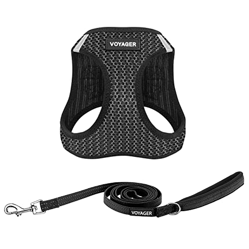 Best Pet Supplies Voyager Step-in Air All Weather Mesh Harness and Reflective Dog 5ft Leash Combo with Neoprene Handle, for Small, Medium and Large Breed Puppies - Set (Gray 2-Tone), X-Small