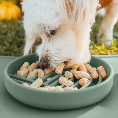 Should We Go? Slow Feeder for Dogs & Cats, The Slowdown Bowl Silicone Slow Eating Mealtime Solution with Modern Lick Mat Design, Reduces Gulping, Fits 1 Cup, 6” Across x 1.25” Tall, Small-Spruce - color: Spruce, size: Small (6” Across x 1.25” Tall)