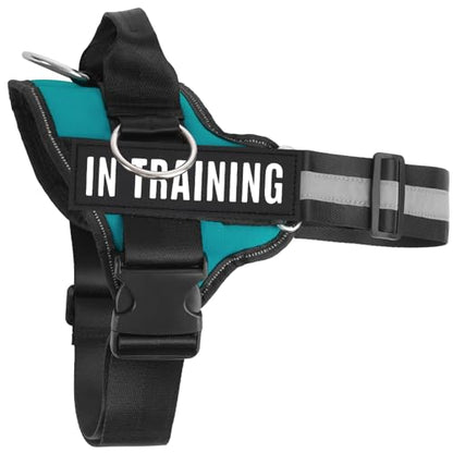 JUSTYEZI Essential Dog Harness with 3 Leash Clips - No-Pull, Adjustable, Comfortable Pet Vest Harness for Small to Large Dogs - Easy On, No Choke, Reflective, Padded Harness for Walking and Training