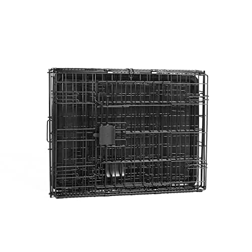 Amazon Basics Portable, Foldable Metal Wire Dog Crate with Removable Tray, Double Door, Divider Panel, 24" x 18" x 20", Black - size: 24.0"L x 18.0"W x 20.0"H, style: Double Door w/ Divider