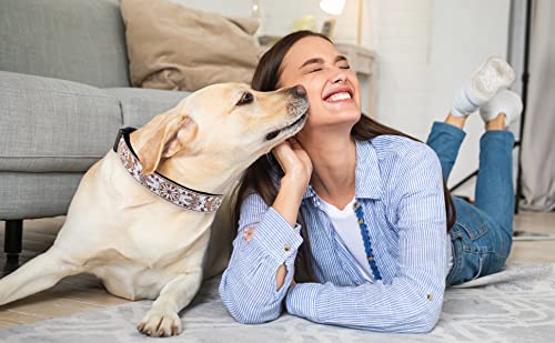 Dog Collars for Small Medium & Large Dogs - Female and Male Patterns on Long Lasting, Adjustable, Strong and Durable Puppy Quick Release Buckle White Woven Collar - color: White Woven, size: Small