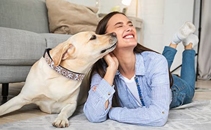 Dog Collars for Small Medium & Large Dogs - Female and Male Patterns on Long Lasting, Adjustable, Strong and Durable Puppy Quick Release Buckle White Woven Collar - color: White Woven, size: Small