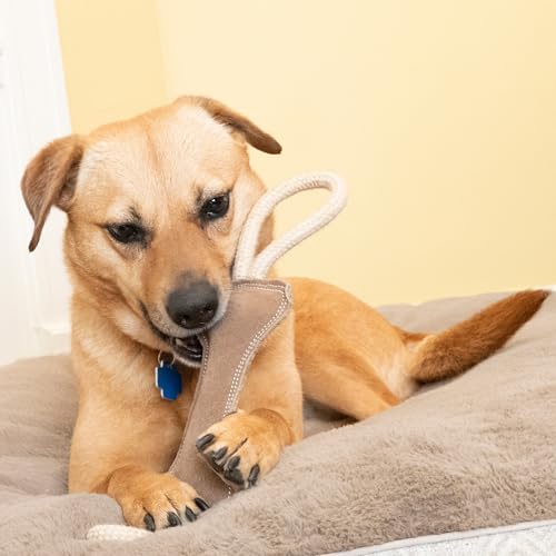 SPOT Dura-Fused Leather Bone Tug Dog Toy – Durable Real Leather & Jute Chew Toy with Double Rope Handles & Squeaker, For Moderate Chewers, 18in - size: 18 in