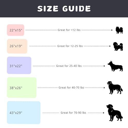 Dog Blankets for Small Dogs, 2-Pack Washable Plush Pet Mat - Soft & Warm Reversible Puppy Blankets for Couch, Bed, Crate& Travel Carrier - size: 31"x22"