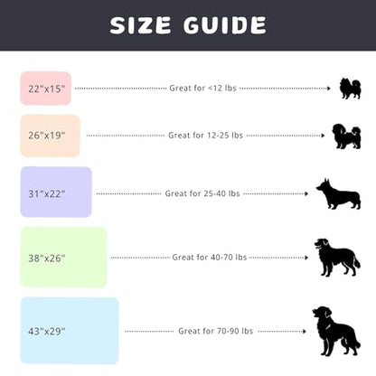 Dog Blankets for Medium Dogs, 2-Pack Washable Plush Pet Mat - Soft & Warm Reversible Puppy Blankets for Couch, Bed, Crate& Travel Carrier - size: 43"x29"