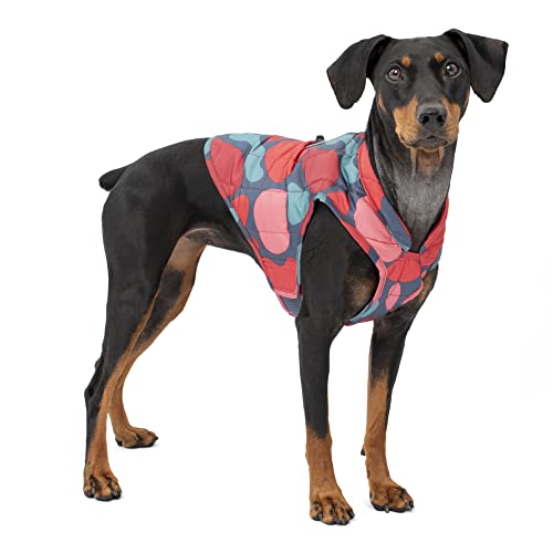 Kurgo Loft Dog Jacket - Reversible Cozy Coat for Outdoor Adventures - Water Resistant - Athletic Fit - Machine Washable Fabric - Reflective Dog Gear - Small - Lava Lamp - color: Lava Lamp, size: Small