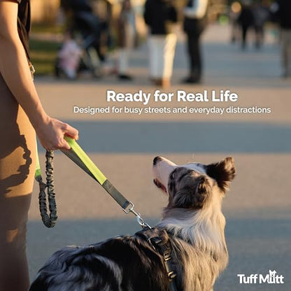 Tuff Mutt Hands Free Dog Leash for Walking Running Hiking, Waist Leash with Bungee, Adjustable Belt, Reflective Double Handle Design for Large Medium Dogs - color: Gray