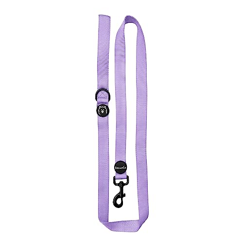 ShawnCo Dream Walk Dog Leash- Premium, Nylon Pet Leash with Soft Neoprene Handle for Small, Medium and Large Dogs (ICY Lilac, Small) - color: Icy Lilac, size: Small