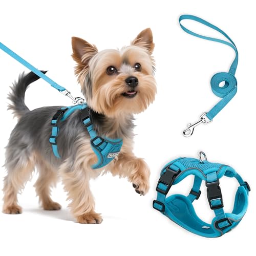 Small Dog Harness and Leash Set, Reflective Soft Breathable Mesh Vest, 3 Buckles, Adjustable Neck and Chest,Step in Dog Harness for Walking, Running, Training, Turquoise, XS - color: Turquoise, size: X-Small