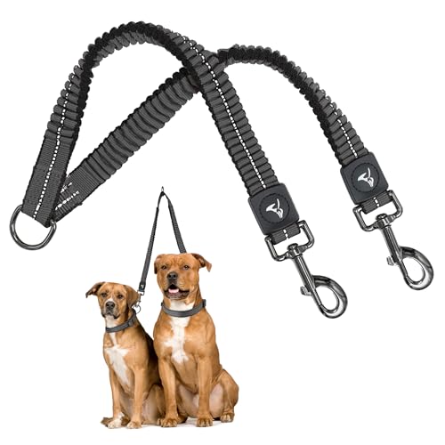 Kruz Double Dog Leash for Two Dogs (Width - 3/4”, Length 17”-34”) Dual Leash Coupler with Tangle-Free Swivel, Shock-Absorbing Reflective Bungee for Comfortable Walking & Training (Gray, Medium) - color: Gray, size: Medium: 3/4" x 17"