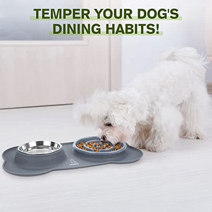Pecute Slow Feeder Dog Bowls to Slow Down Eating, Dog Bowl Slow Feeder with No-Spill Non-Skid Silicone Mat, Food-Grade Safe Dog Food Bowls Slow Feeder, Stainless Steel Dog Water Bowl for Dogs Cats - size: Medium-1¾ Cup/13.5 oz each
