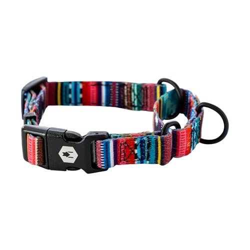 Wolfgang Heavy Duty Martingale Dog Collar with Quick Release Nylon Buckle for Walking & Training, Quetzal Print, Small - color: Quetzal Print, size: Small (5/8 Inch x 10-12 Inch)
