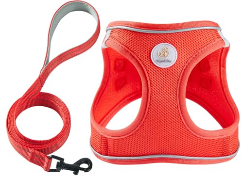 Dog Harness and Leash Set, No Pull Soft Mesh Puppy Harness for Small Medium Dogs, Cats - Step in Reflective Breathable Lightweight Vest Harness for Walking, Training - Red, XXS - color: Red, size: XXS (Chest: 11"-12.5")
