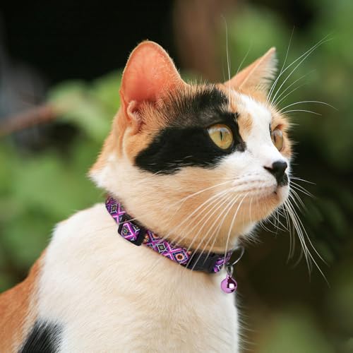 2 Pack Cat Collars with Bell - Breakaway Soft Collar for Girl & Boy Cats, Adjustable Safety Cute Kitten Collars – Comfortable Stylish Patterned Print Design Lightweight (Aztec + Serape) - color: Aztec + Serape