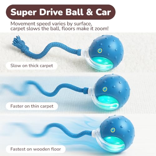 Interactive Cat Toy Ball for Indoor Cats – Fast Rolling on Carpet, Motion Activated with Chirping Sounds, Smart Play Toy (Blue) - color: Blue
