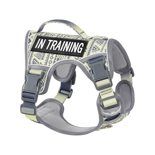 Light Dog Harness for Small Sized Dog Breeds, No-Pull Pet Harness with 2 Leash Clips, Adjustable Soft Padded Dog Vest, Reflective Pet Oxford Vest, Puggle, Terriers, Beagle, Gray Ethnic, Small - color: Gray Ethnic, size: Small
