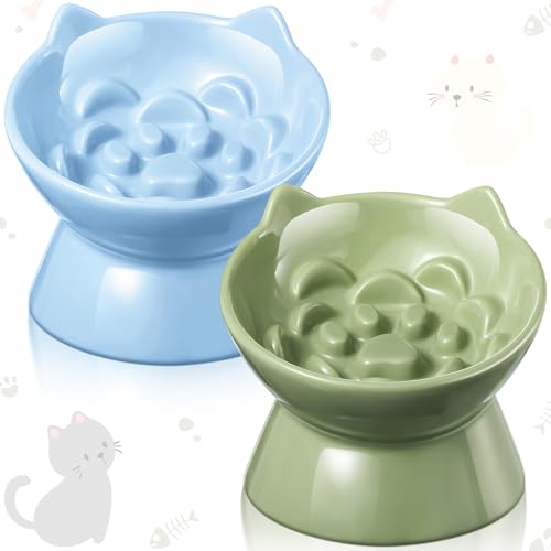 Funnymoom 2 Pcs Ceramic Raised Slow Feeder Cat Bowl, 5.91inch Elevated Cat Slow Feeder Bowl Tilted Anti Vomiting for Dry Wet Food and Water Easy to Clean High Edge(Green, Blue) - color: Green, Blue