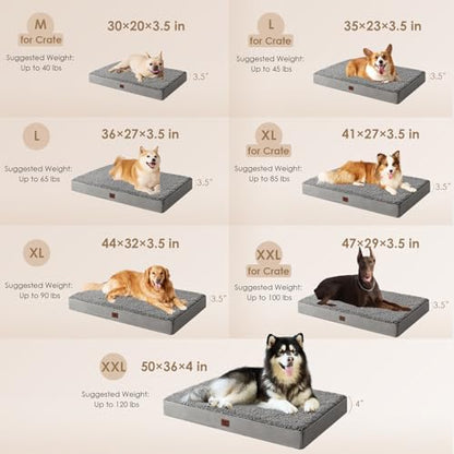 EHEYCIGA Orthopedic Foam Dog Bed, Medium, 30"L x 20"W x 3.5"Th, Light Grey - color: Light Grey, size: 30*20*3.5 Inches
