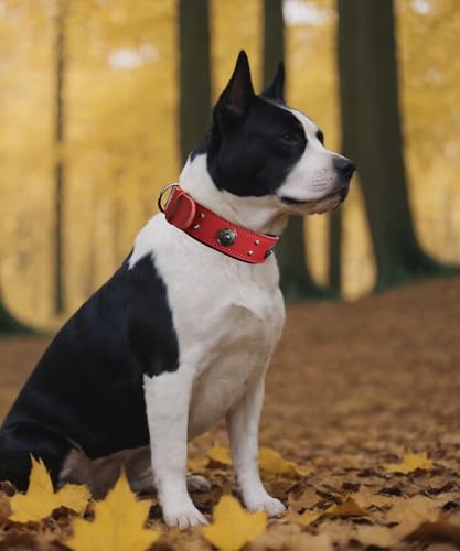 Leather Dog Collar, 2 inches Wide Heavy Duty Genuine Leather Collars, Handmade, Soft, and Luxury, Eye-catching Best Choice for Large and Medium Breed Dogs, Red 21-25 in - color: Red, size: 21-25 in