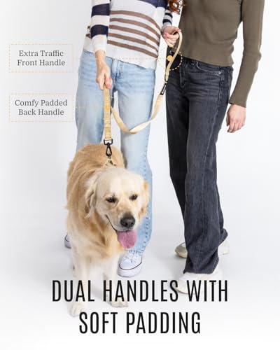 Fei & Eve Classic Dog Leash - 6FT, Dual Padded Handles, 360° Swivel Hook, Heavy Duty 210D Nylon - No-Pull Design with Traffic Control Handle - for Small/Medium/Large Dogs, Champagne - color: Champagne, size: 6FT