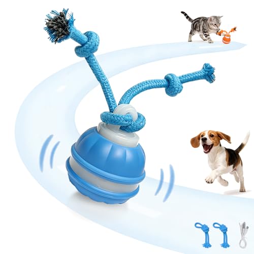 Interactive Dog Cat Toys Dog Ball,Automatic Rolling and Bouncing Moving Dog Toy,Squeaky Rolling Balls with Flashing Light,USB Rechargeable Chew Toys for Puppy Small Dogs, Pet Ball to Keep Them Busy - color: 1 Blue