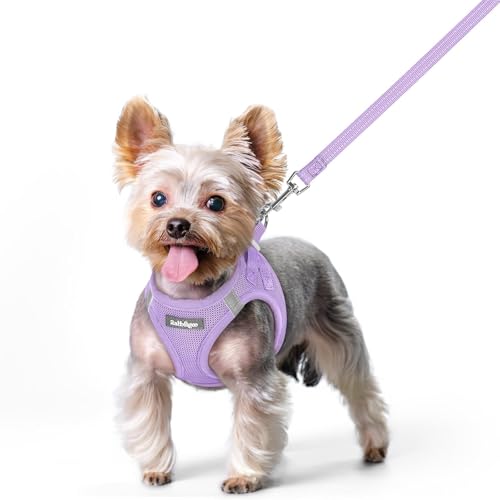 rabbitgoo Dog Harness Small Sized and Leash Set, Step in Soft Light Puppy Vest, Breathable Mesh Pet Harness, Reflective for Safe Easy Walking, Light Purple XS - color: Light Purple, size: Xs (chest: 13.3 - 15.5")