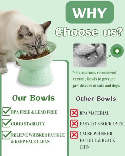 Ceramic Slow Feeder Cat Bowl, 15° Tilted Elevated Cat Slow Eating Bowl for Neck Protection, Anti Vomiting Dog Slow Feeder, Whisker Friendly & No Black Chin for Cats and Small Dogs, Jun Blanc - color: 03-Jun Blanc