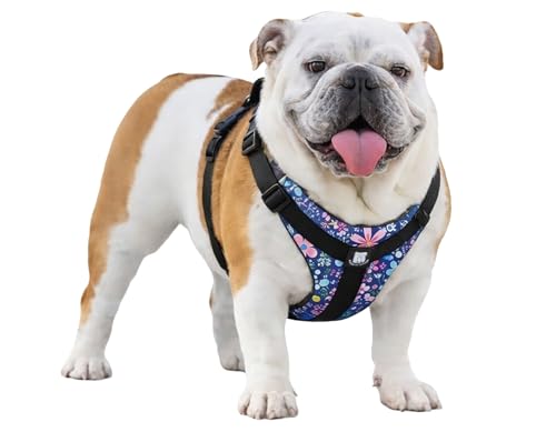 No-Pull Harness for English & French Bulldogs - Adjustable Wide-Chest Fit, Reflective Vest with Control Handle (Frisky Flowers, XL) - color: Frisky Flowers, size: XL