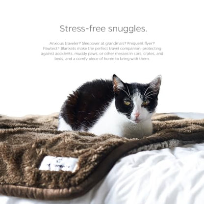 Pet Parents PAWTECT Blanket Waterproof Premium Dog, CAT, and Puppy Blanket, Slate, Medium - color: Slate, size: 32"x40"