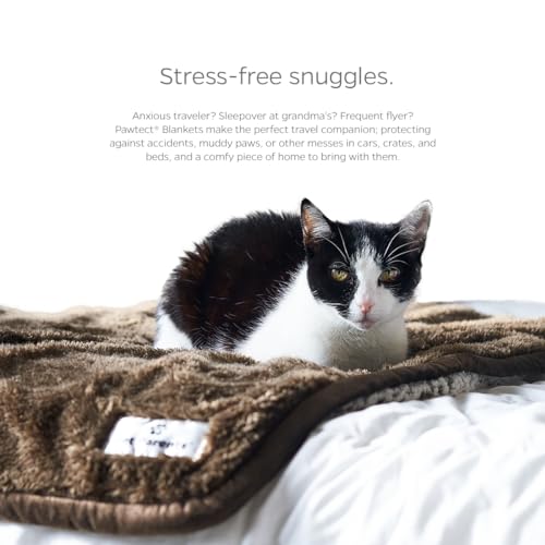 Pet Parents PAWTECT Blanket Waterproof Premium Dog, CAT, and Puppy Blanket, Slate, Large - color: Slate, size: 50"x60"