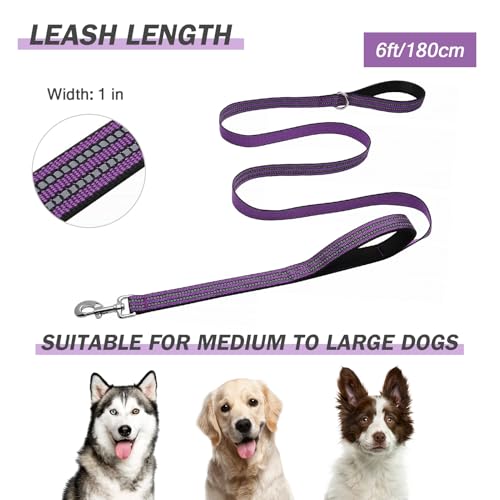 Hikiko 6 FT Heavy Duty Dog Leash with 2 Padded Handles,Traffic Handle & Advanced Easy Snap Hook,Reflective Walking Lead for Small Medium and Large Dogs(Purple) - color: Purple, size: 1 in x 6 ft