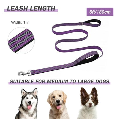 Hikiko 6 FT Heavy Duty Dog Leash with 2 Padded Handles,Traffic Handle & Advanced Easy Snap Hook,Reflective Walking Lead for Small Medium and Large Dogs(Purple) - color: Purple, size: 1 in x 6 ft