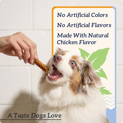 Groovies Gentle & Flexible Senior Dog Dental Chews, Contact-Cleaning Design Supporting Tartar Control & Fresh Breath, Oral Care Treats, USA Manufactured, Patented DentalFit Tech, Small Dogs, 43 Chews - size: 12 Ounce