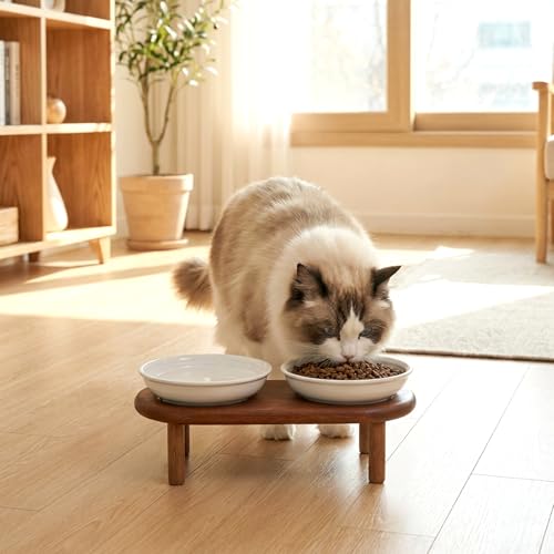 SPUNKYJUNKY Shallow Elevated Cat Bowl with Acacia Wood Stand Wide Raised Ceramic Cat Dishes Whisker Friendly Pet Food and Water Plates (Striped Pattern, White) - color: White