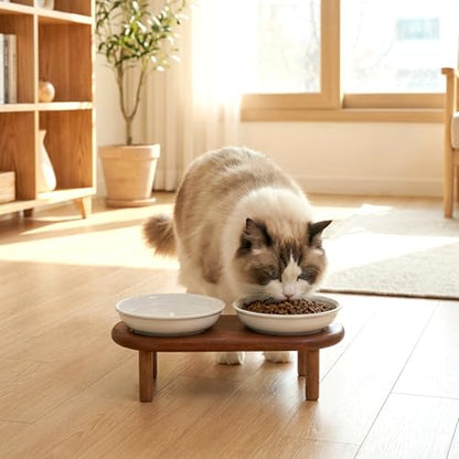 SPUNKYJUNKY Shallow Elevated Cat Bowl with Acacia Wood Stand Wide Raised Ceramic Cat Dishes Whisker Friendly Pet Food and Water Plates (Striped Pattern, White) - color: White