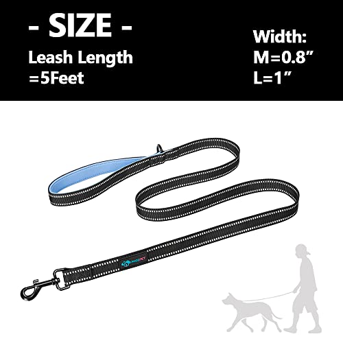 PHOEPET 5 Feet Heavy Duty Dog Leash - Reflective - Soft Padded Handle Traffic Grip for Extra Control (L,Baby Blue) - color: Baby Blue