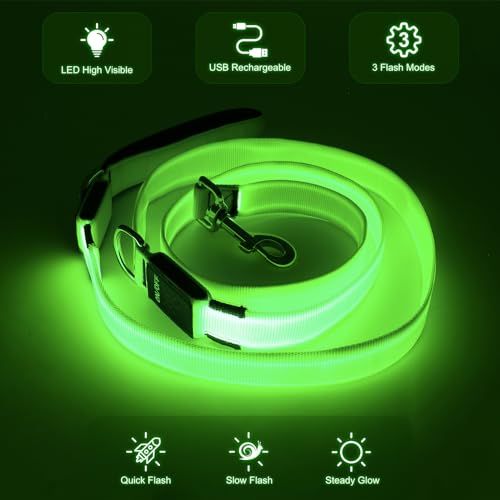 Colaseeme Light Up Dog Leash, LED Pet Leashes USB Rechargeable, Glow Safety Dogs Lights at Night (6FT,Green) - color: Green, size: 6FT