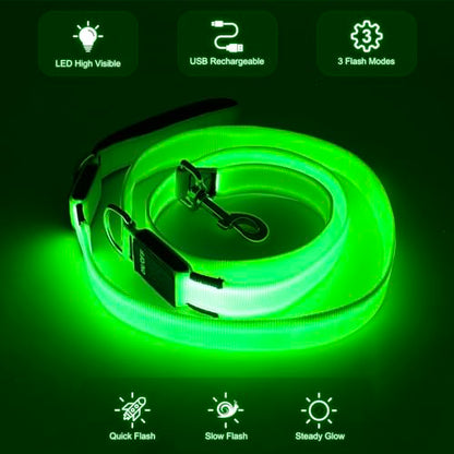 Colaseeme Light Up Dog Leash, LED Pet Leashes USB Rechargeable, Glow Safety Dogs Lights at Night (6FT,Green) - color: Green, size: 6FT