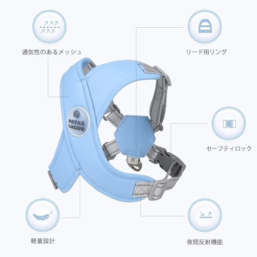 Dog Harness with Leash Set Adjustable Soft Padded Step-in Dog Vest No Choke No Pull Reflective for Small Pets with Poop Bags and Dispenser, Solid and No-chew, Blue XS - color: Blue, size: XS (Neck 16-19.1'' Chest 18.8-21.5'')