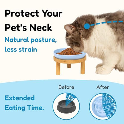 Slow Feeder Bowl, 6.3″ Elevated Cat Bowl with Stand, Melamine Wide Shallow Food Bowl, Whisker-Friendly Raised Plate, Wet Food Feeder for Slow Eating (Blue) - color: Blue, size: 1 Pack with Stand - 6.3''W x 1.5''H