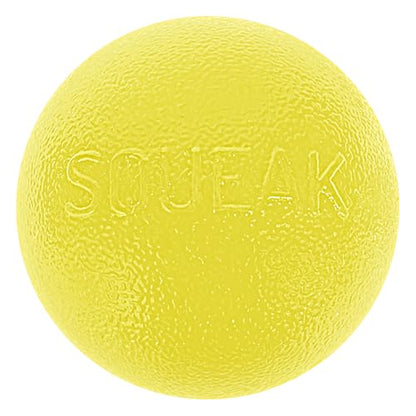 Outward Hound by Planet Dog Squeak Ball Bouncy Fetch Dog Toy, Yellow - color: Yellow Squeak Toy