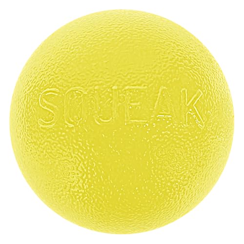 Outward Hound by Planet Dog Squeak Ball Bouncy Fetch Dog Toy, Yellow - color: Yellow Squeak Toy