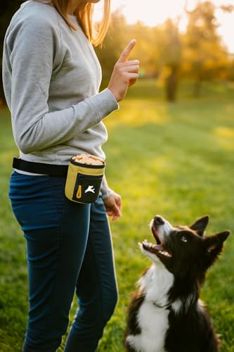 OllyDog Goodie Treat Bag, Dog Treat Pouch, Waist Belt Clip for Hands-Free Training, Magnetic Closure, Dog Training and Behavior Aids, Three Ways to Wear (Alchemy) - color: Alchemy