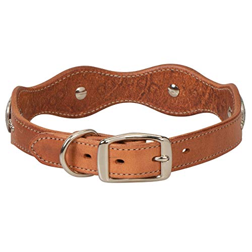 Texas Star Collar