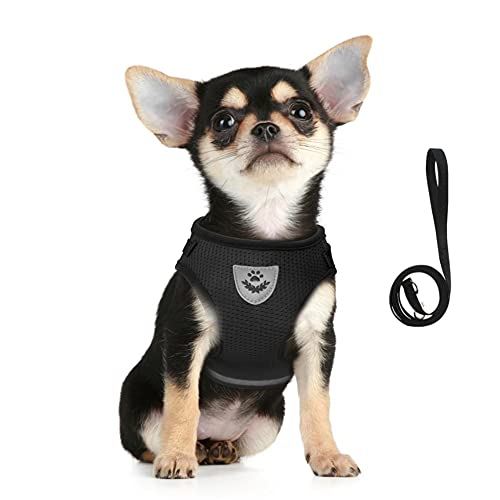 Dog Harness and Leash Set for Walking, Soft Mesh Adjustable Easy Control Lightweight Cat Vest Harnesses with Reflective Strips, Escape Proof Small Dogs Cats Vests - color: Black, size: XXS