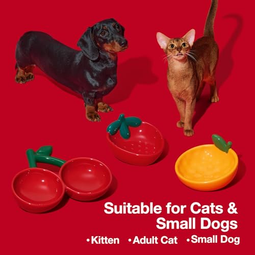 VETRESKA Ceramic Pet Bowl Tilted Design Pet Feeder for Food and Water Anti Vomit Cat Bowls for Indoor Cats Cute Strawberry Cat Bowl Dishwasher Safe - color: Strawberry Bowl